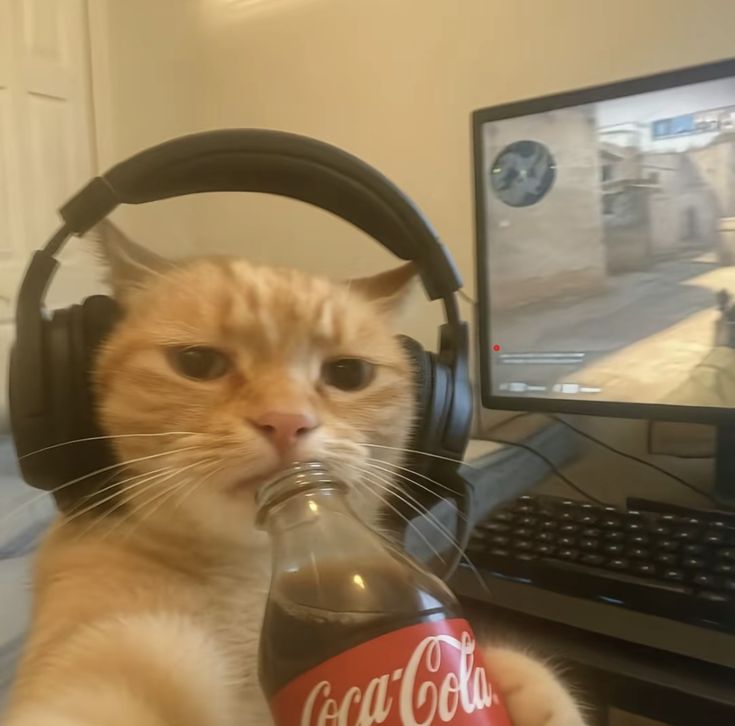 !GB